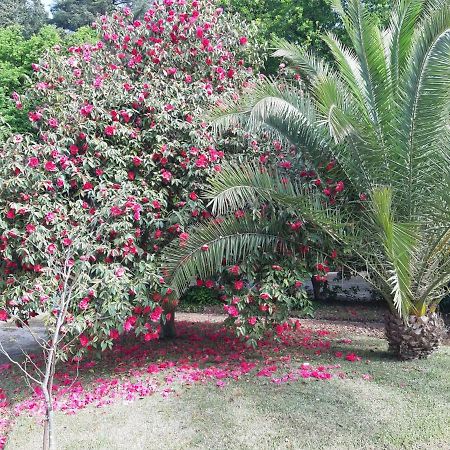 Casa Da Espinhosa Bed & Breakfast Guimarães Екстериор снимка