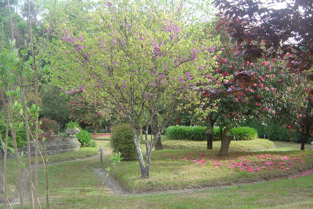 Casa Da Espinhosa Bed & Breakfast Guimarães Екстериор снимка
