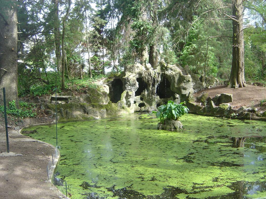 Casa Da Espinhosa Bed & Breakfast Guimarães Екстериор снимка